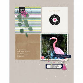 Pink-Reptile-Designs_2025-02-February_New_0208_Picture-Perfect_Marilyn_web.jpg