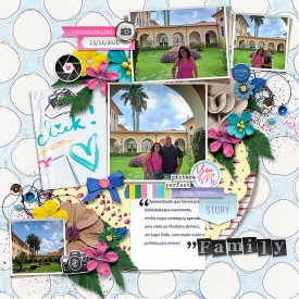 Soco_PicturePerfect_Ferdy1-copiar.jpg