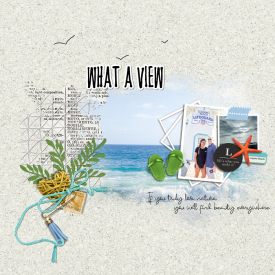 WHAT_A_VIEW_1.jpg