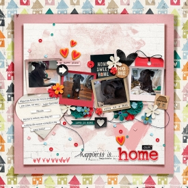 home-copiar.jpg