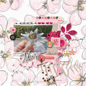 pink-reptile-designs-Carefree-and-Got-Buttons-_-SwL-MBC-2019-10-tp.jpg