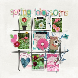 springblossoms_web.jpg