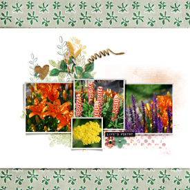 summerBlooms2009-web-700.jpg