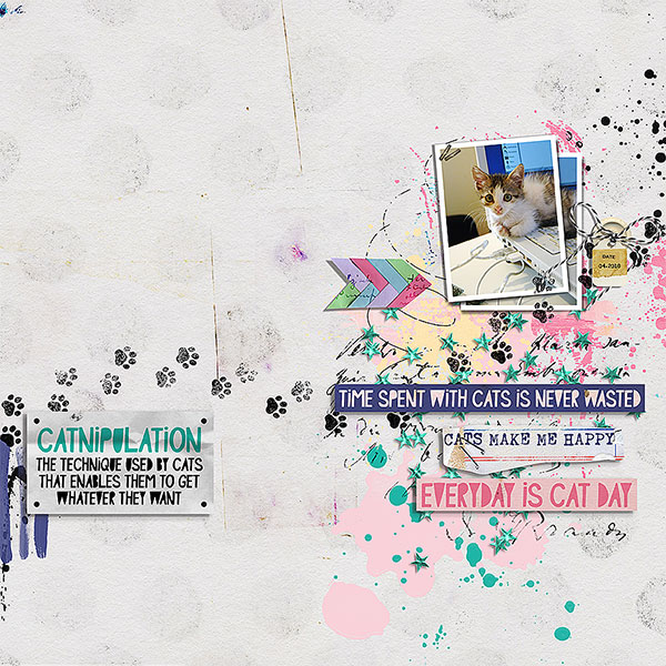 0205-LBW-cat-lady