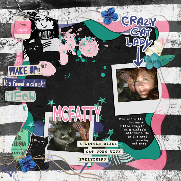 21_02_Crazy_Cat_Lady