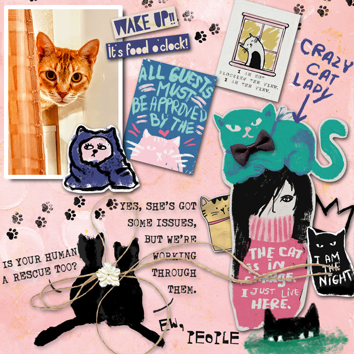 Crazy-Cat-Lady-700