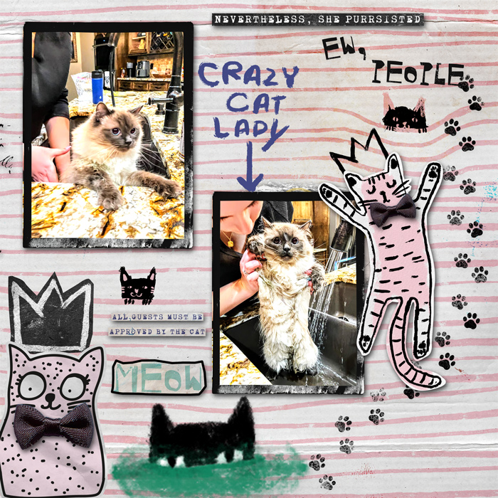 Crazy_Cat_Lady1