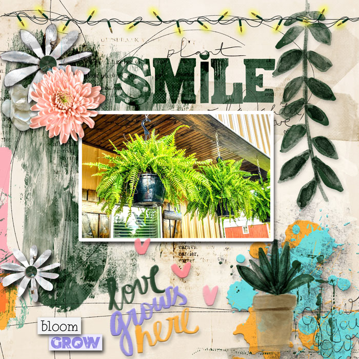 LBW-Plant-Smiles-2