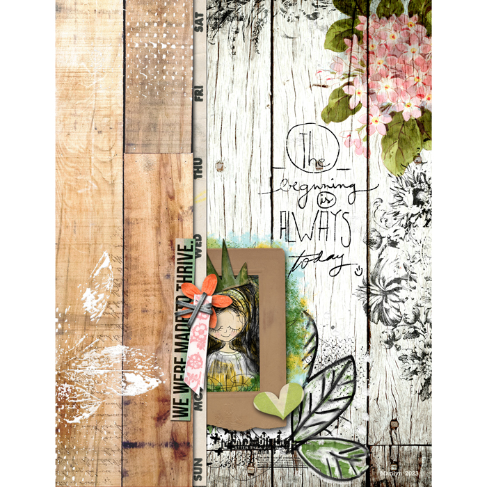 Little-Butterfly-Wings_2023-09_September_ReRelease_0902_Rise_Thrive_web