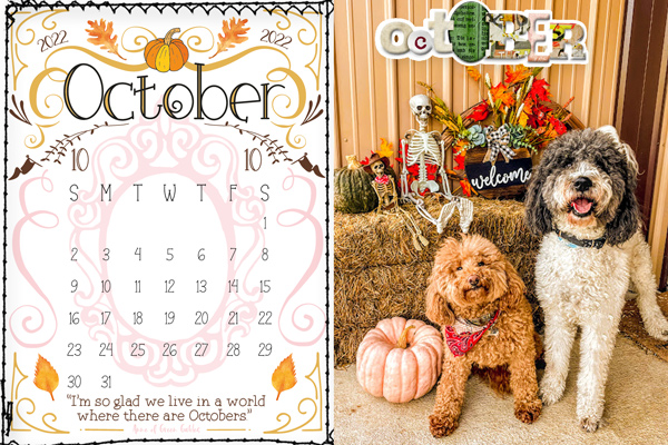 October-lbw_2022_calendar_6x4_10