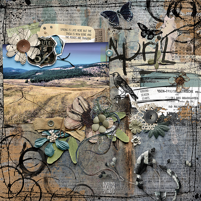 birdingseasonstarts_700