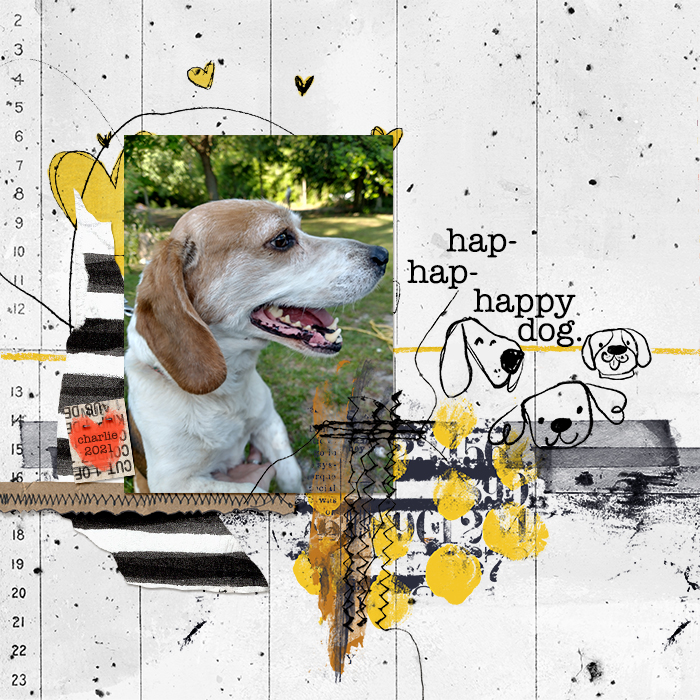 happy-dog-_c_2021