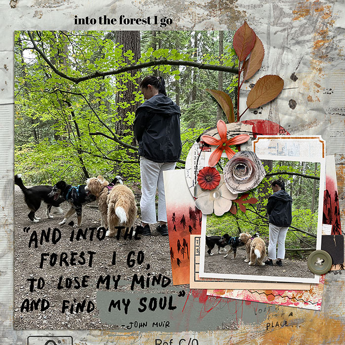 intotheforestigo-700