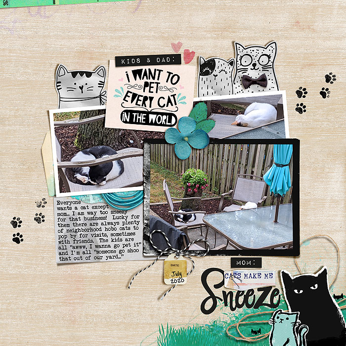 lbw-crazycatlady