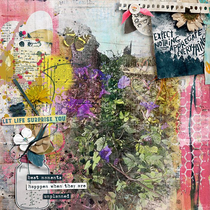 lbw-serendipity