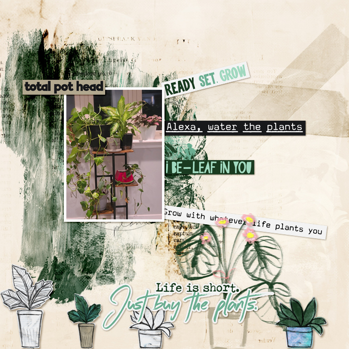 lbw_plantsmiles700