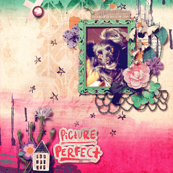 picture perfect