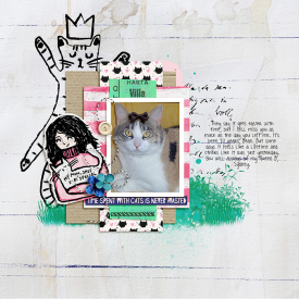 700Tammy-CrazyCatLady.jpg