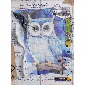 Gaelle-2024-10-02-LBW-Night-owl.jpg