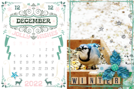 LBW_2022_calendar_12_December_web700.jpg