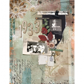 Little-Butterfly-Wings_2024-0728_CC_Timeless-Treasures_StudioBasic_Marilyn_web.jpg