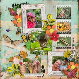 butterflyfarm-web.jpg
