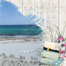 lbw_beachfun.jpg