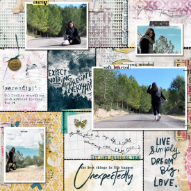 lilacho-mess-the-pocket-14-Lilach-layout-800.jpg