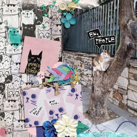 little-butterfly-wings-Crazy-cat-lady.jpg