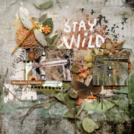 staywild-700.jpg