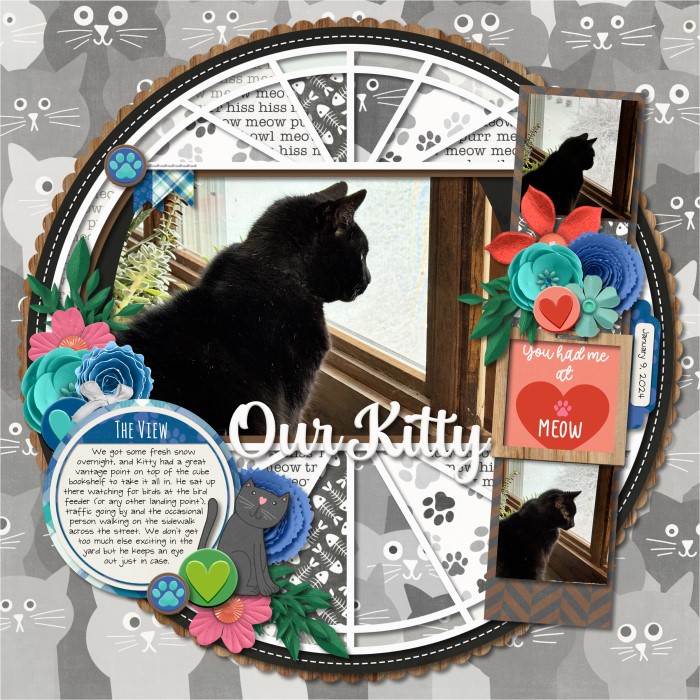 010924_Kitty_snow_700