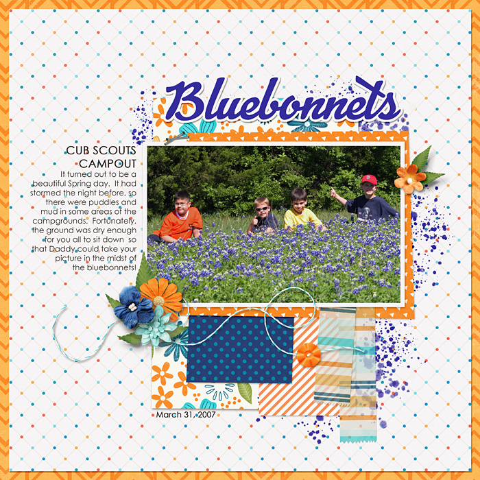 20070331-Bluebonnets
