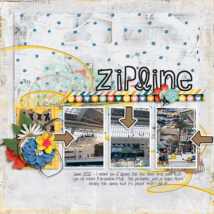 2022-06-Zipline