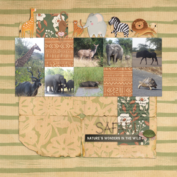 2023-05-07_Safari