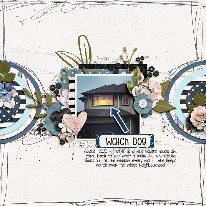 2023-08-Watch-dog