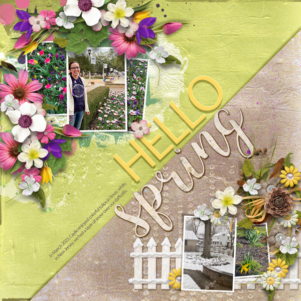 2023_03-Hello-Spring