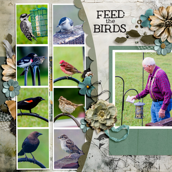 2024_07-Feed-the-Birds