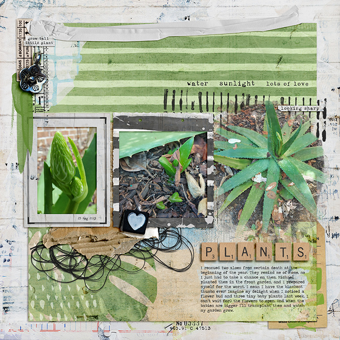 29-plants
