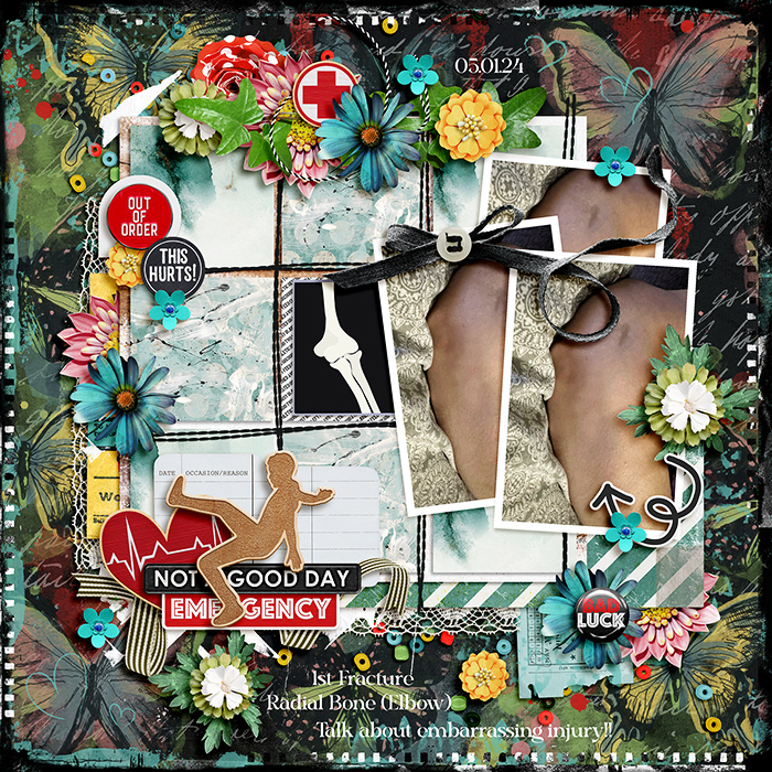 700alchemywildstudio-delightfuladdon24