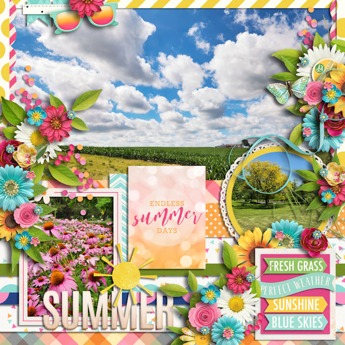 8_3_2023_HP319_CS_POCKETFUL_SUNSHINE_KCB