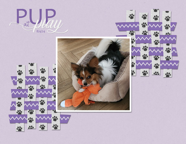 August-17---Monopoly--Pup-at-Play