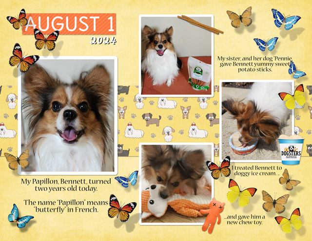 August-3---Swimming---Butterfly-Stroke---August-1_-2024
