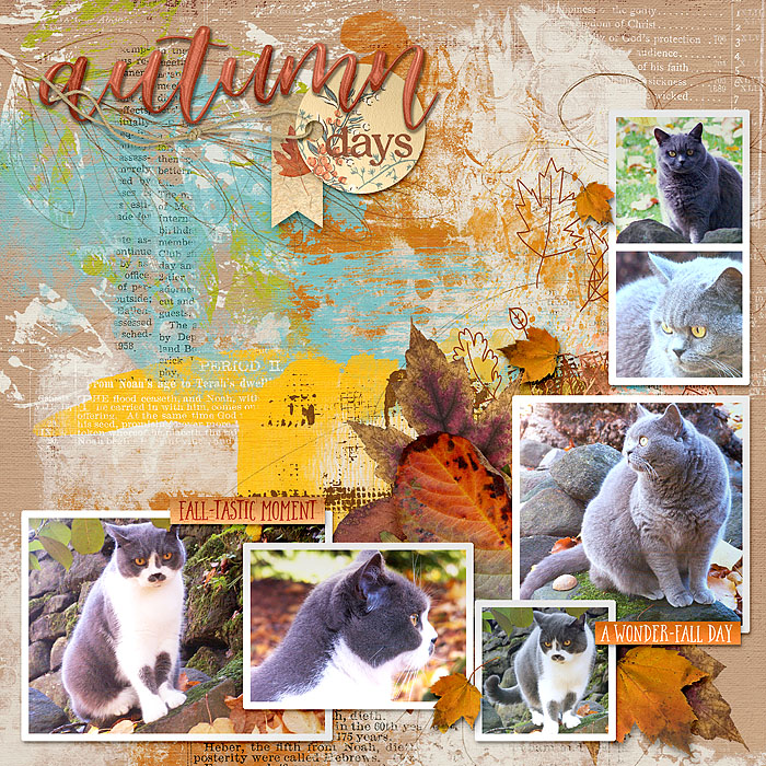 Autumn_Days2
