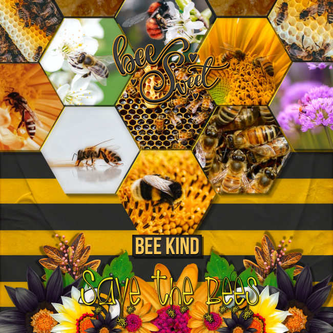 Be_Sweet_Be_kind_save_the_bees