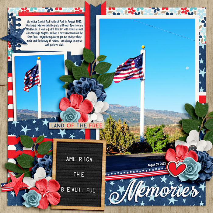 BrokenSpurFlag23web