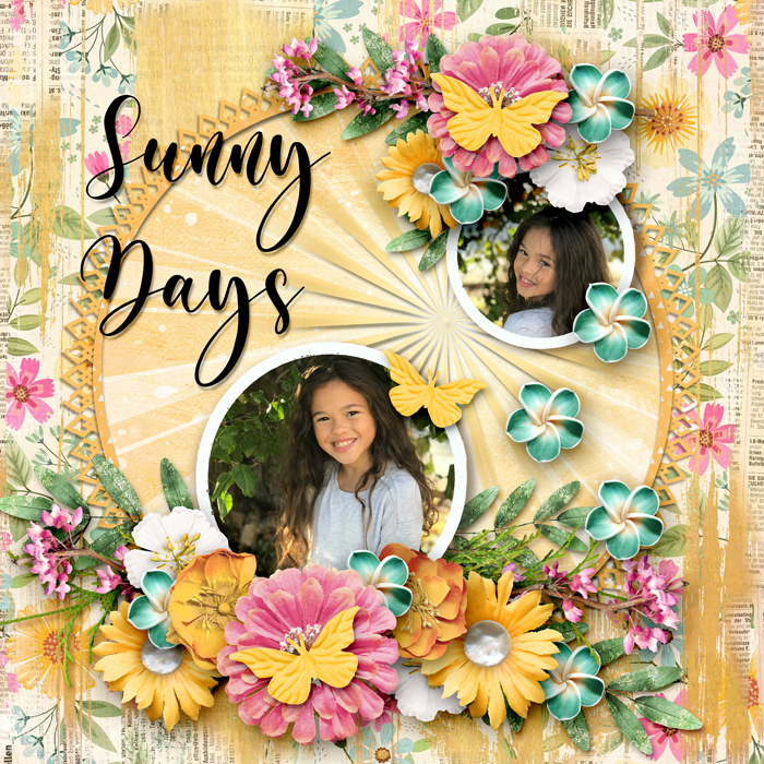 Gallery-Sunny-Days