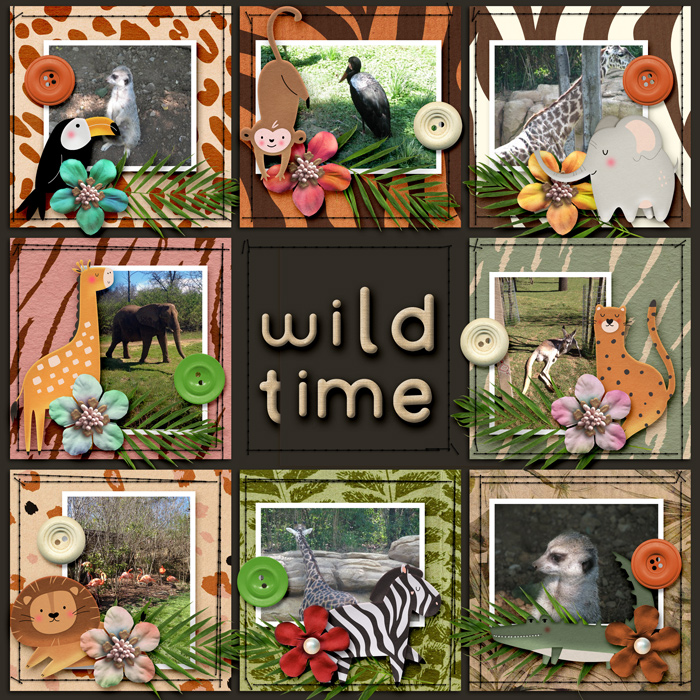 Gallery-Wild-Time