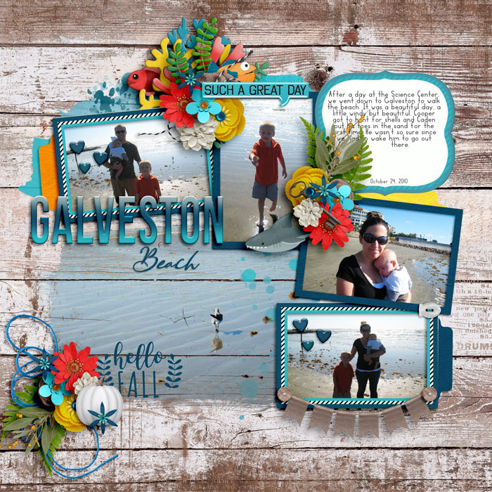 Galveston2010web