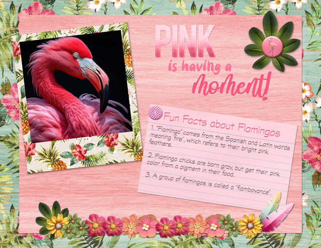 July-3---Scattergories---Pink-is-Having-a-Moment