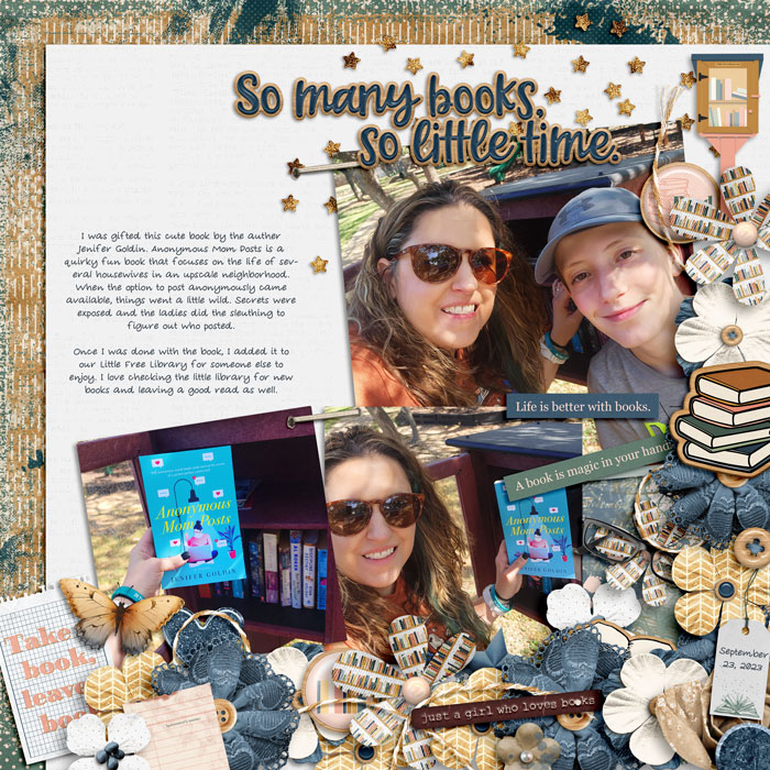 LittleLibrary23web